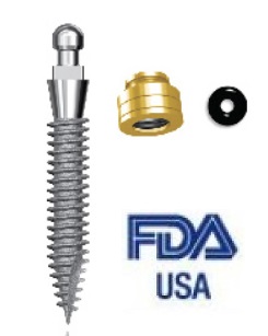 5Mini Ball Implant new